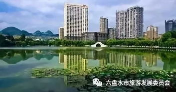 風格迥異的六盤水橋梁,你走過幾個