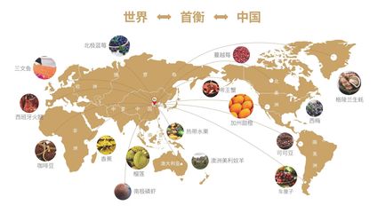 枝葉關(guān)情暖民生，首衡城聚貿(mào)易興——孝南區(qū)第二屆網(wǎng)評(píng)大賽東湖評(píng)論